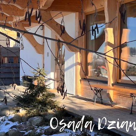 Villa Osada Dzianisz N°54 Extérieur photo
